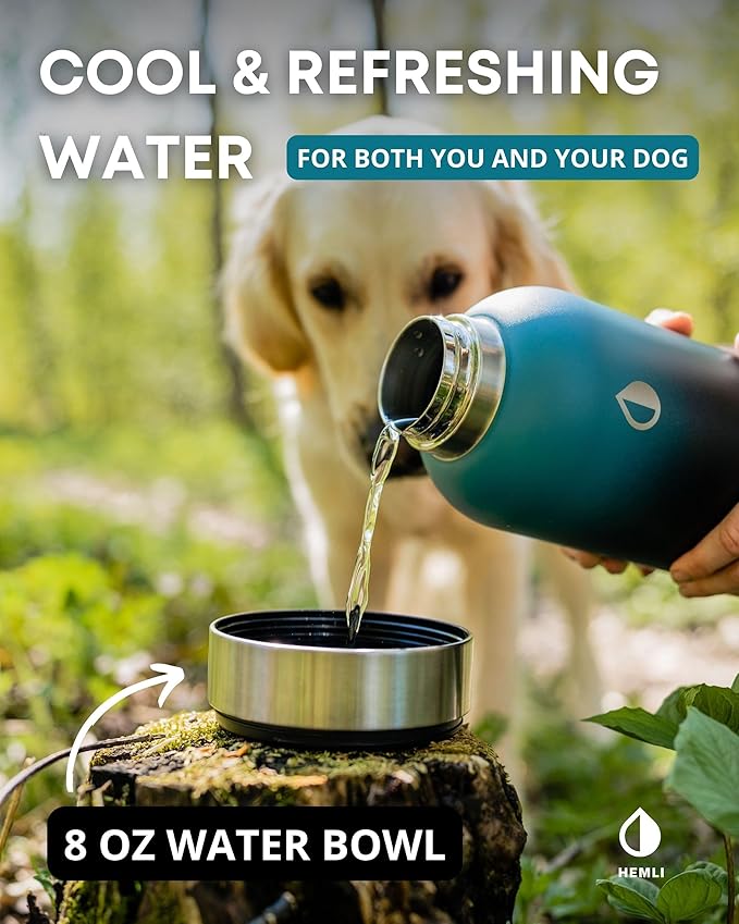 Dog Water Bottle Insulated Dog Travel Water Bottle Stainless Steel Pet Water Bottle Dispenser Portable Food and Water Bowl for Dogs with Carrying Case for Walking Dog Travel Kit… (Green Blue, 32 oz)