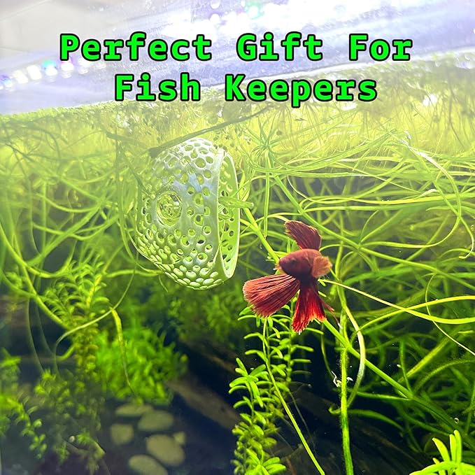 CTWPets Natural Betta Bulb Hide | Betta Rest Fish Tank Ornament | Aquarium Cave with Suction Cup for Small Fish Tank, Betta Habitat, Shrimp Hideout, Aquatic Decor (Dark Brown)