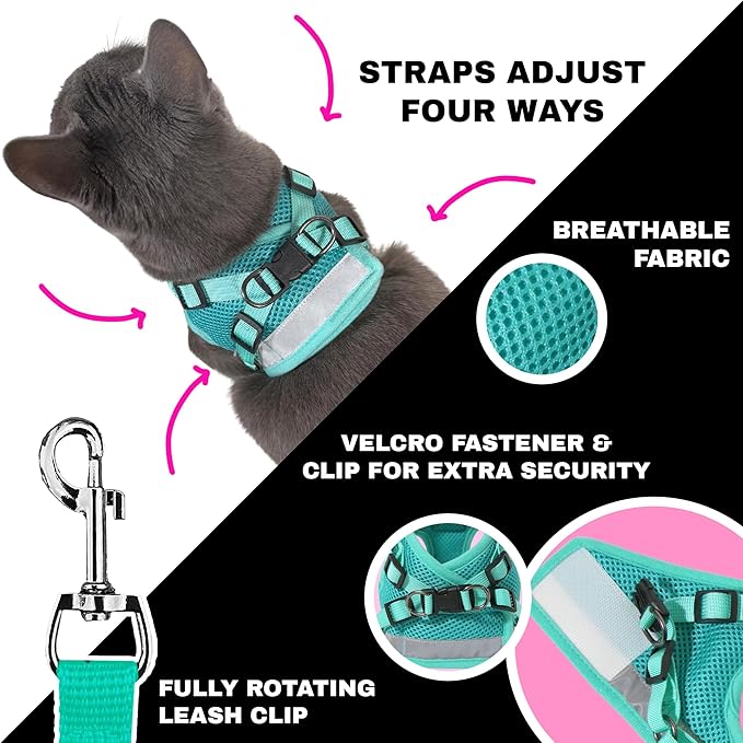 Travel Cat x Jackson Galaxy Harness and Leash Set - Adjustable Fit Mesh Cat Harness with Nylon Leash - Comfort, Escape Proof Harness for Cats, Kitten for Outdoor Walking, Hiking (Small)