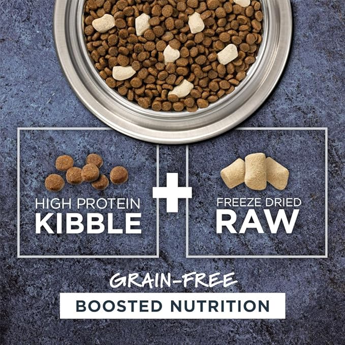 Instinct Raw Boost, Natural Dry Cat Food with Freeze Dried Pieces, High Protein, Grain Free Recipe - Real Chicken, 5 lb. Bag