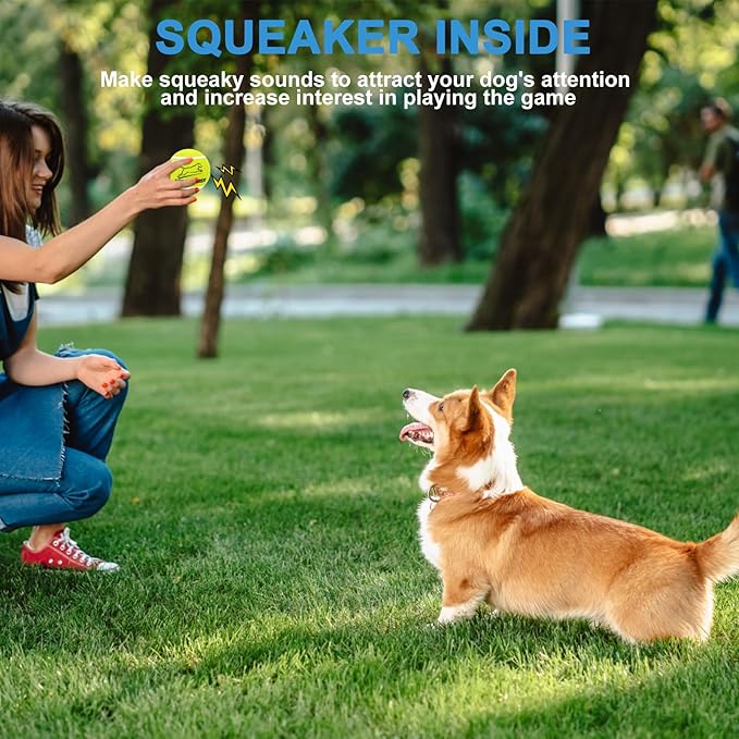 EXPAWLORER Tennis Toys for Dogs, 2.5 Inch Dog Toy Tennis Balls with Squeaker, 12 Pack Interactive Squeaky Dog Balls for Aggressive chewers,Perfect Pet Toy for Small, Medium + Large Dogs