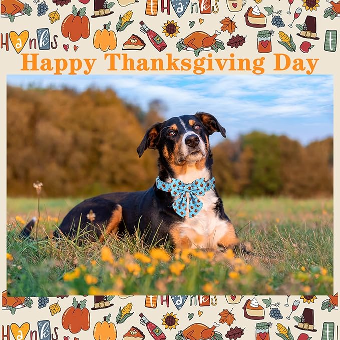 Unique style paws Thanksgiving Dog Collar with Bow Tie Blue Turkey Puppy Collar for Small Medium Large Dogs as Autumn Winter Pet Gifts-M