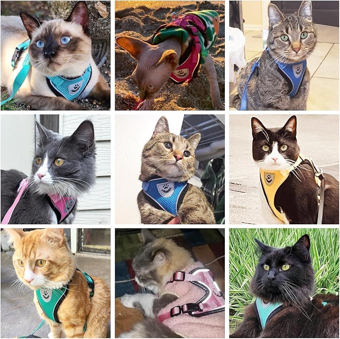 PUPTECK Cat Harness and Leash Set Escape Proof Reflective Cat Walking Harness Adjustable Soft Breathable Mesh Vest for Small Pets, Sky Blue, S