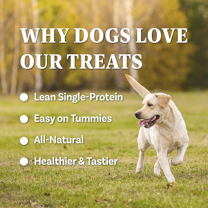 AFreschi Buffalo Dog Treats, All-Natural, Hypoallergenic, High Protein, Low Fat, Human Grade Puppy Chews – Healthy Grain-Free Training Treats, 12oz Jerky