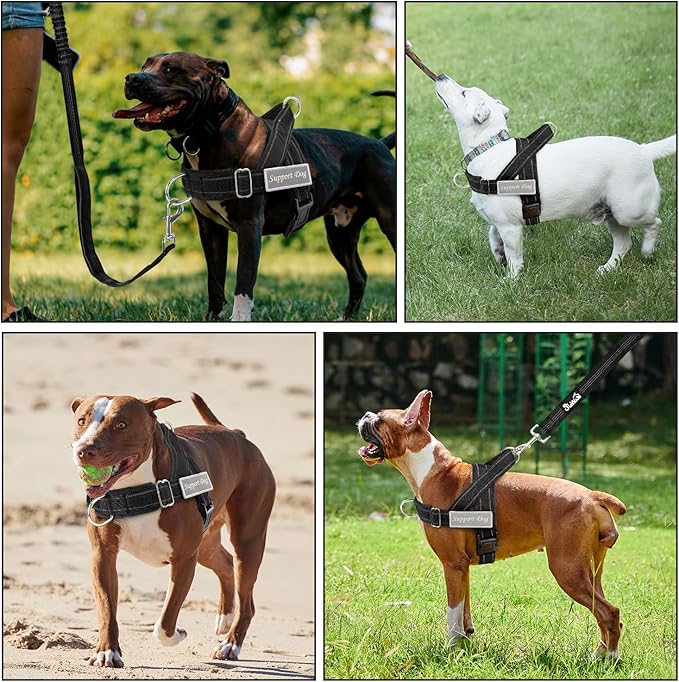 Lukovee No Pull Dog Harness & Leash Set - Heavy Duty Dog Vest Harness with Soft Padded for Medium Large Dogs, Adjustable Reflective Tactical Pet Harness for Easy Walk and Training (L, Black)
