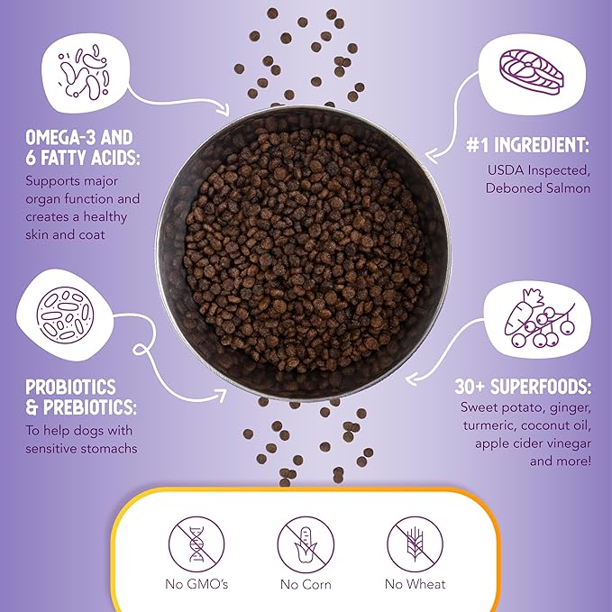 Health Extension Grain Free Salmon & Sweet Potato Little Bites Small Kibble Formula with 30+ Superfoods, Omega 3, and Probiotics for Teacups, Toys & Miniature Dogs (12lb)
