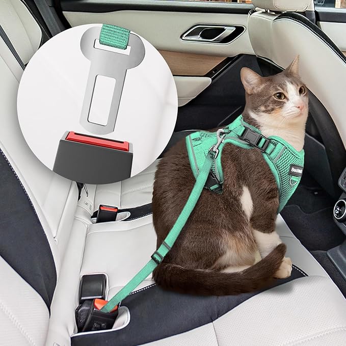 Cat Harness and Leash for Walking, The Upgrade Can be Adjusted in Four Directions and Breathable Cat Harness for Anti Escape That can be Fitted and Positioned, Reflective Strips Harness, Green,XS