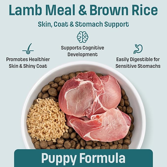 I14 Puppy Dog Food with Lamb & Brown Rice - Skin, Coat & Sensitive Stomach Dog Food with Pumpkin, Omega-3 Rich Salmon Oil & Flaxseed for Shiny Coat & Immunity - Chicken Free Puppy Food (4.4 lb)