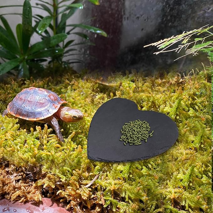 Reptile Basking Platform, 10 × 10 inch Tortoise Rock Plate, Heart Shape Natural Rock Reptile Food Dish, Turtle Feeding Bowl, Habitat Decor for Bearded Dragon Chameleon Frog Lizard Gecko Hermit Crab