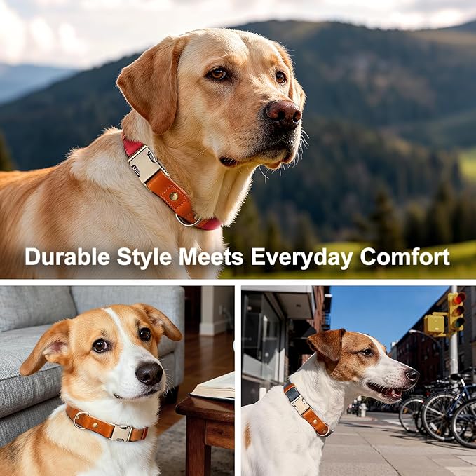 Plutus Pet Genuine Leather & Hemp Dog Collar – Adjustable Heavy Duty Pet Collar with Quick Release Metal Buckle, Soft & Stylish for Puppy and Small, Medium, Large Dogs (Black, XS)