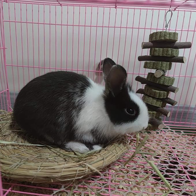 Natural Rabbits Treats Aple Branches pple Sticks with Timothy Hay Balls Grass Cake Hanging Chew Toys for Hamsters,Bunny, Chinchilla,Guinea Pigs