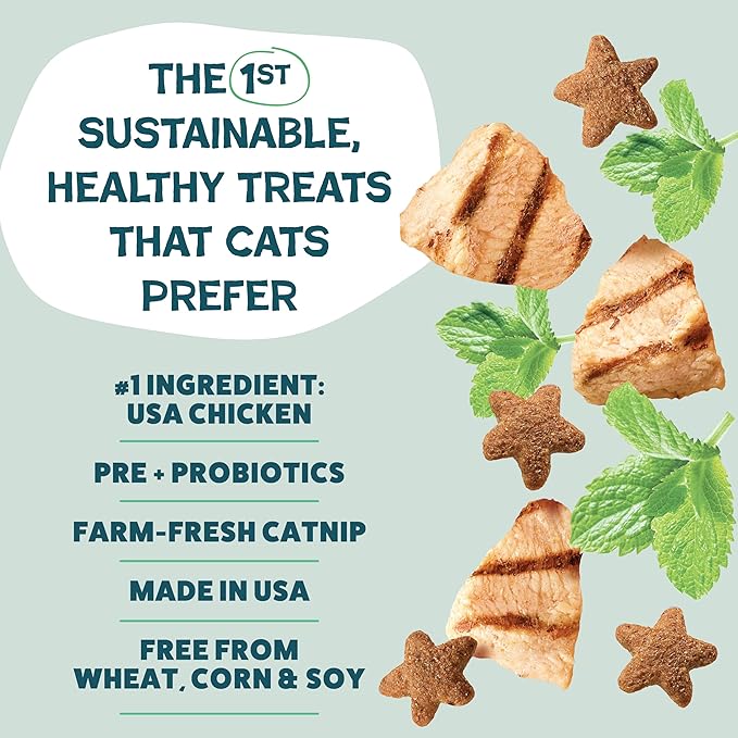 Shameless Pets Celebration Birthday Crunchy Cat Treats Chicken and Catnip Treats with Digestive Support (Pack of 2)
