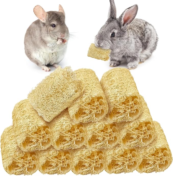 BNOSDM Bunny Chew Toys Natural Loofah 12PCS Bunny Teeth Grinding Toy Rabbit Fiber-Rich Treats Pet Entertainment Accessories for Rabbits Chinchillas Guinea Pig（M）