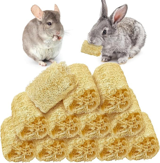 BNOSDM Bunny Chew Toys Natural Loofah 12PCS Bunny Teeth Grinding Toy Rabbit Fiber-Rich Treats Pet Entertainment Accessories for Rabbits Chinchillas Guinea Pig（M）