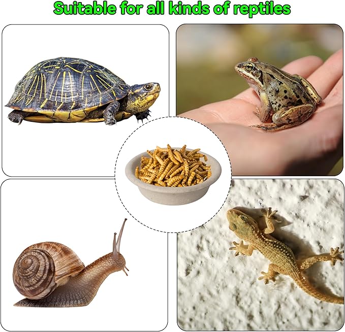 Klmnop 300 Pack 1oz Paper Gecko Food Cups, Reptile Feeding Dish, Food Bowl Ledge Accessories for Crested Gecko Reptiles Pets(Natural)