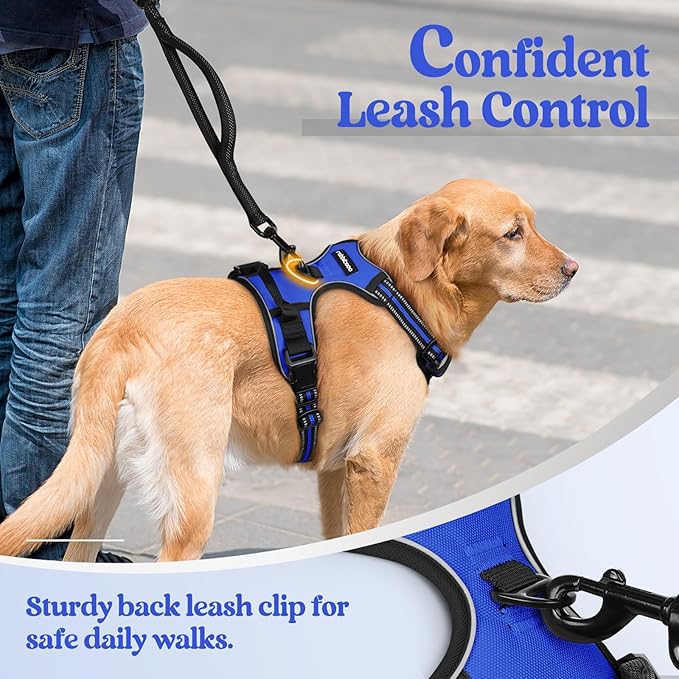 rabbitgoo Dog Harness No Pull with 2 Leash Clips, Adjustable Soft Padded, Reflective Oxford No Choke Pet Vest with Easy Control Handle for Medium Sized Dogs, Dazzling Blue, M