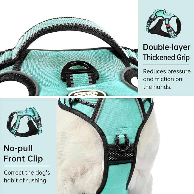 IVY&LANE No Pull Dog Harness with Leash Set, Reflective No Choke Pet Vest,Adjustable Oxford Dog Vest Harness with Easy Control Handle for Medium Dogs (Turquoise,M)