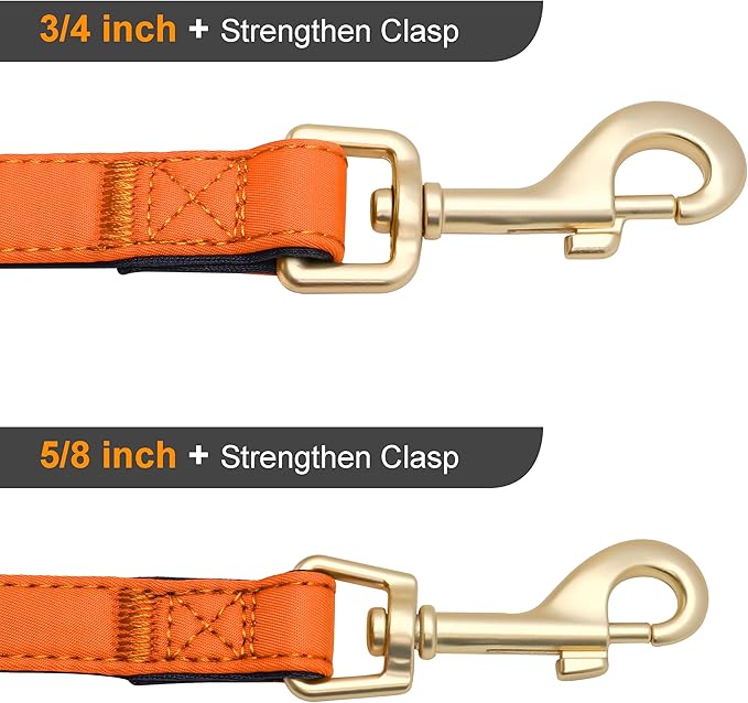 Didog 5FT Colorful Nylon Dog Leash with Soft Full-Length Padding, Lightweight and Durable Pet Leash for Medium and Large Dogs, Orange, M
