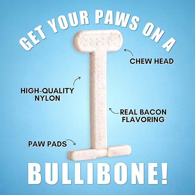 Bullibone Nylon Dog Chew Toy for Aggressive Chewers - Dental Hygiene Bone with Bacon Flavor, Durable Tough Chew Toys for Small Dogs, Indestructible Dog Bone - Single