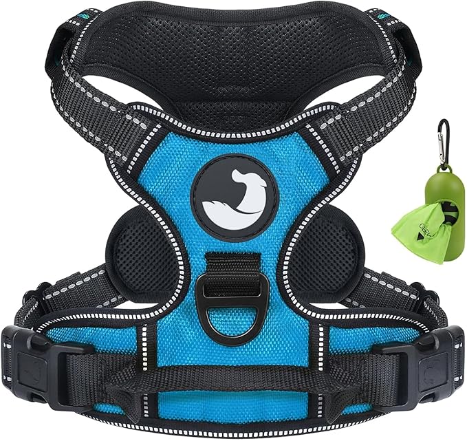 Joytale No Pull Dog Harness for Small Dogs, Reflective Pet Vest with Front Clip, Adjustable Soft Padded Harnesses with Easy Control Handle for Training and Walking, Sky Blue, S