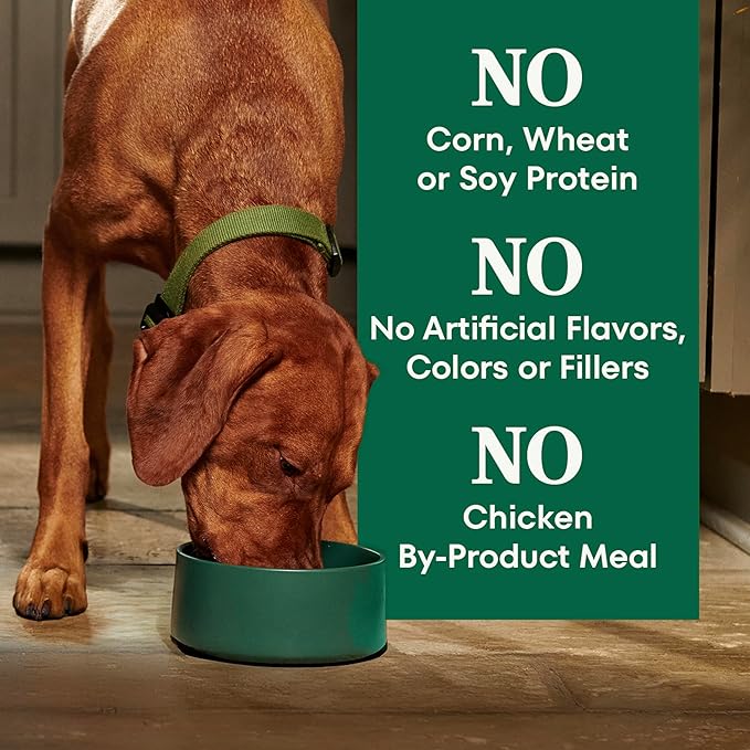 Nutro Natural Choice Adult Dry Dog Food, Chicken & Brown Rice Recipe, 36 lb. Bag