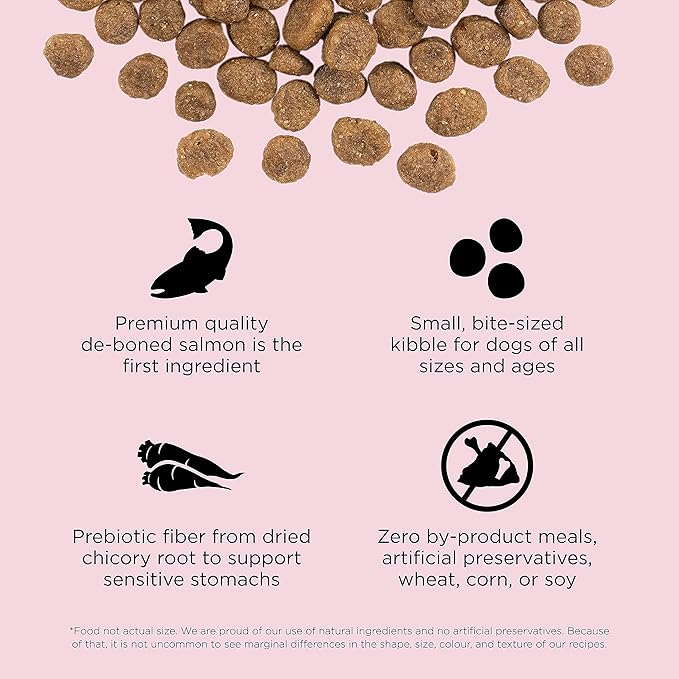 Go! Solutions Sensitivities Limited Ingredient Small Bites Salmon Grain-Free Dry Dog Food, Tiny Kibble for Little Breeds, Chicken-Free for Sensitive Stomachs, for Puppies, Adults, Seniors, 6 lb Bag