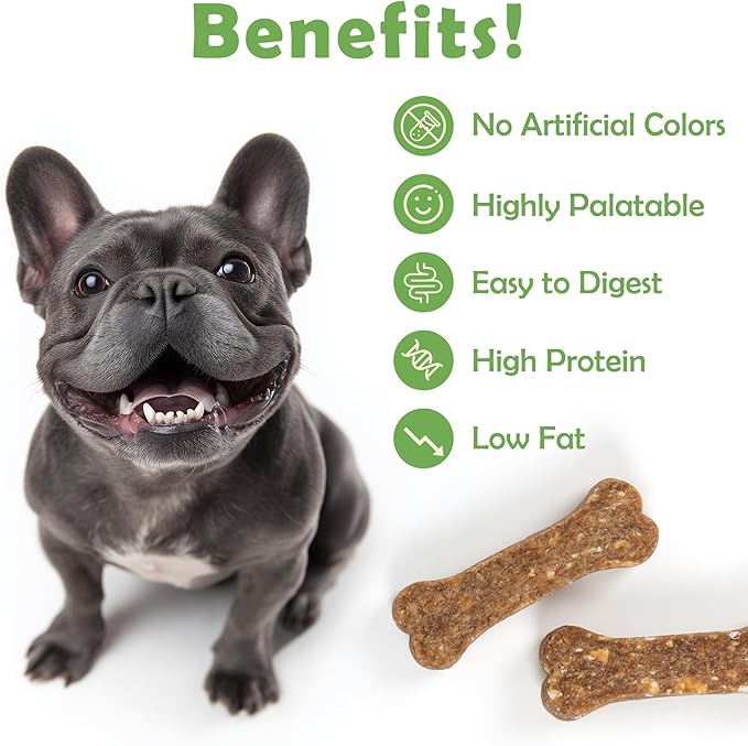 MON2SUN Dog Treats 2 Inch Chicken & Oat Treats with Peanut Butter, Crunchy Biscuits for Small Dogs, Training Rewards, 10.6 oz (35 Count)