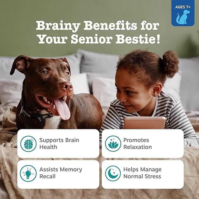 Zesty Paws Senior Advanced Calming & Cognition Soft Chews for Dogs - Supplements for Dog Brain Health & Nervous System Support + Calming & Relaxation -with Ashwagandha, DHA & Melatonin