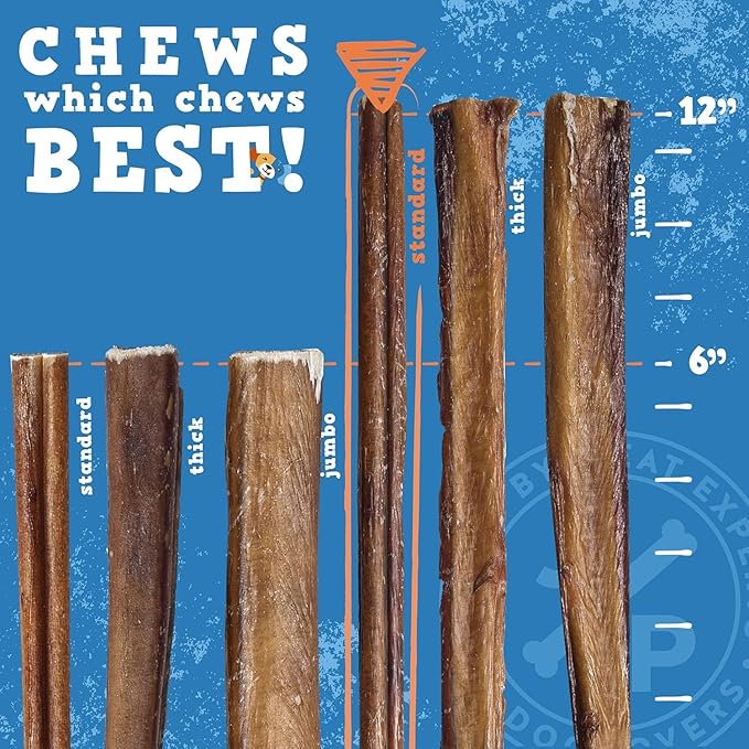 Jack&Pup 12 Inch Bully Sticks for Medium Dogs | Thick Odor Free Bully Sticks Long Lasting | All Natural, 100% Beef Pizzle Sticks (1 Pack)