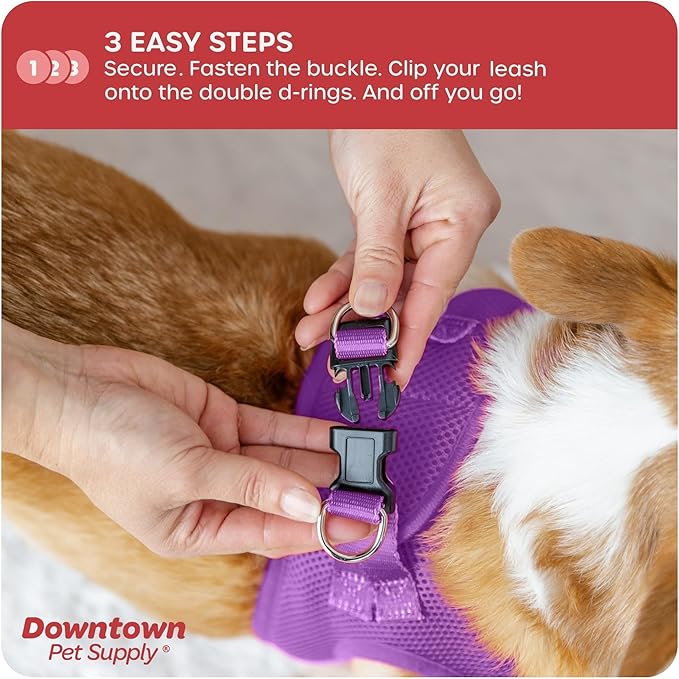 Downtown Pet Supply Step-in Dog Harness – No Pull, Adjustable Padded Mesh with Reflective Trim, Secure Buckle Strap – Comfortable & Breathable Small Dog Harness, XX-Small, Purple