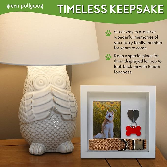 Green Pollywog Pet Memorial Shadowbox with Photo, Tag & Collar Display | White Frame with 4” x 6” Picture Opening | 10” x 10” x 2.5” Keepsake Box