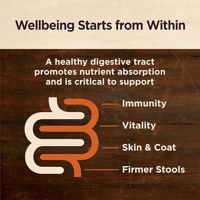 Wellness CORE Digestive Health Dry Dog Food, Large Breed, Wholesome Grains, Natural, Recipe for Dogs with Sensitive Stomachs, Chicken, (24-Pound Bag)