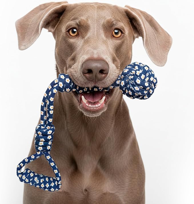 My Pet & Me - Tug of War Rope Dog Toy (17 Inch) - Durable Chew Toy for All Dog Sizes - Perfect for Interactive Play, Training, and Bonding with Puppies & Active Dogs