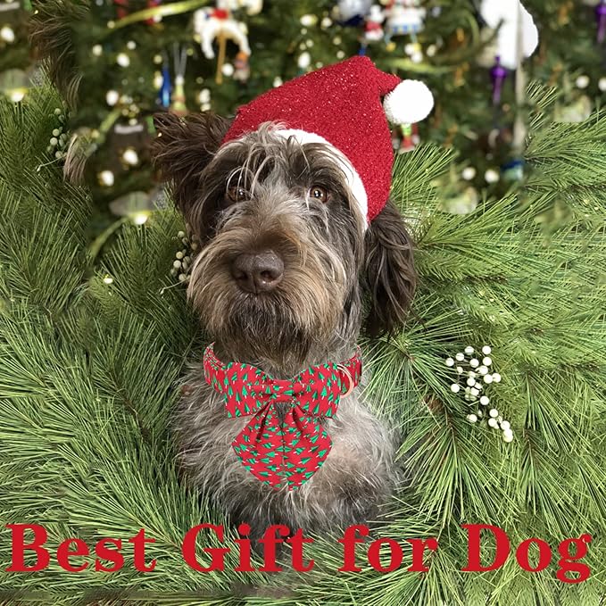 Unique style paws Christmas Dog Collar with Tie Best Winter for Small Medium Large Dogs-Christmas Tree-XS