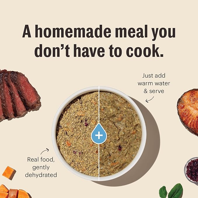 The Honest Kitchen Human Grade Wholemade™ Dehydrated Grain Free Dog Food - Complete & Balanced Meal or Topper, Beef 10 lb Box