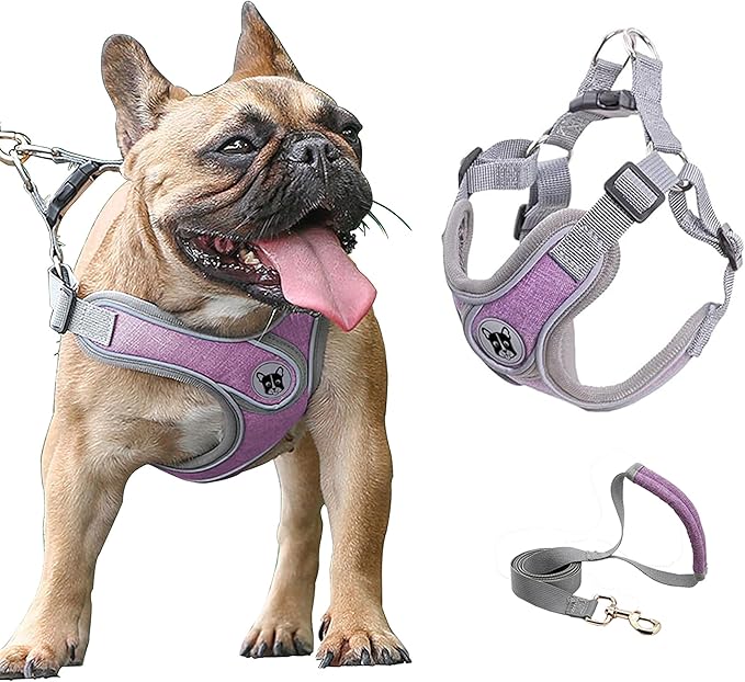 Large Dog Harness and Leash Set,No Pull Adjustable Step in Soft Mesh Vest Harness,Easy Walk Reflective Pet Harness with Padded Handle for Walking Training Small Medium Large Dogs and Cats (Purple, L)