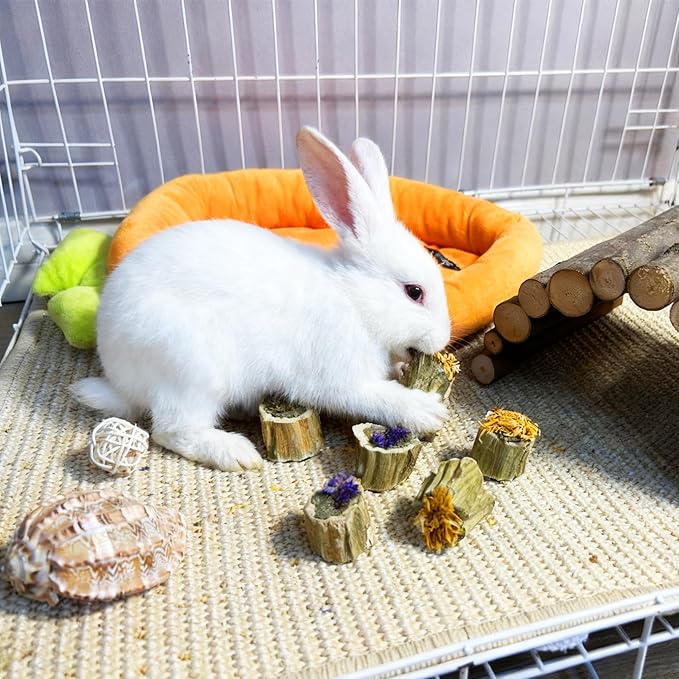 Rabbit Chew Toys Guinea Pig Treats Natural Papaya Wood Chew Sticks for Teeth Bunny Guinea Pig Hamster Chinchilla