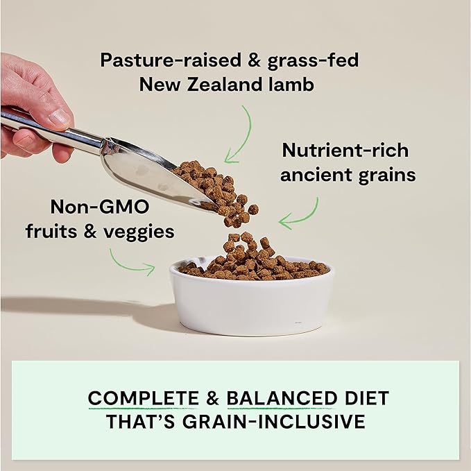 Open Farm, Ancient Grains Dry Dog Food, Protein-Rich & Nutrient Dense, 90% Animal Protein Mixed with Non-GMO Fruits, Veggies and Superfoods, Pasture Raised Lamb Recipe, 4lb Bag