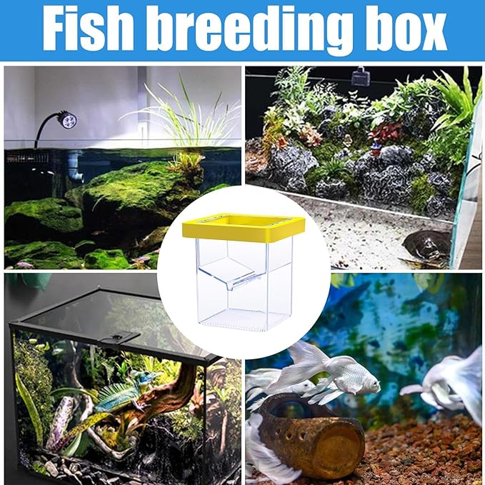 Fish Breeder Box- 11x8.6x8.6cm Suction Cup Hatching Container, Easy Install Floating Fish Isolation Breeding Box | Breeding Boxes for Aquarium, Aquatic Acclimation Hatchery Incubator for Baby Shrimp