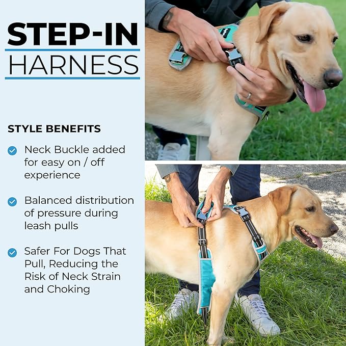 Step in Dog Harness for Medium Dogs, Sky Blue, Adjustable, Easy On Off, No Pull Through Design, 2 Dog Leash Points, 3M Reflective Trim, Neoprene Padded Control Handle