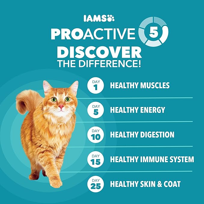 IAMS Proactive Health Indoor Weight Control & Hairball Care Adult Dry Cat Food, Chicken & Turkey Recipe, 3.5 lb. Bag