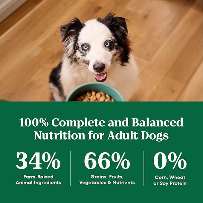 Nutro Natural Choice Adult Healthy Weight Dog Food, Lamb & Brown Rice Recipe, 30 lb. Bag