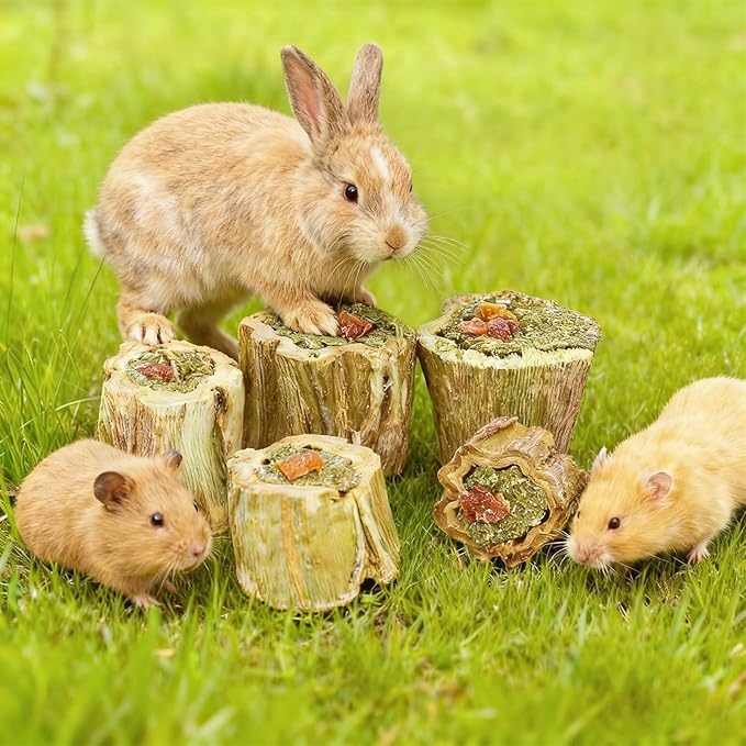 3.5oz Rabbit Chew Toys for Teeth，Bunny Papaya Wood Chew Toys Guinea Pig Treats with Apple Stick for Rabbits Guinea Pigs Hamsters Chinchillas Gerbils Prevent Teeth Overgrowth (3.5 oz, Fruit)