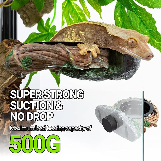 REPTI ZOO Magnetic Reptile Feeding Ledge, Gecko Feeder Ledge with 2PCS Cups, Hollow Vine Food Dish, Reptile Water Bowl for Bearded Dragon Lizard Snake, Terrarium Tank Accessories