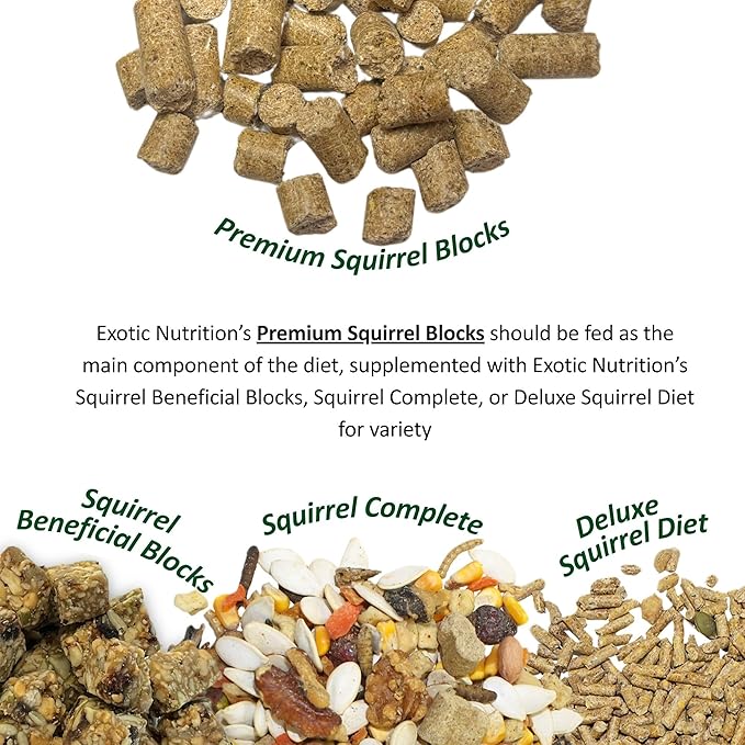 Exotic Nutrition Squirrel Complete (4 lb.) - Healthy Natural Food for Squirrels - Ground, Grey, and Flying Squirrels