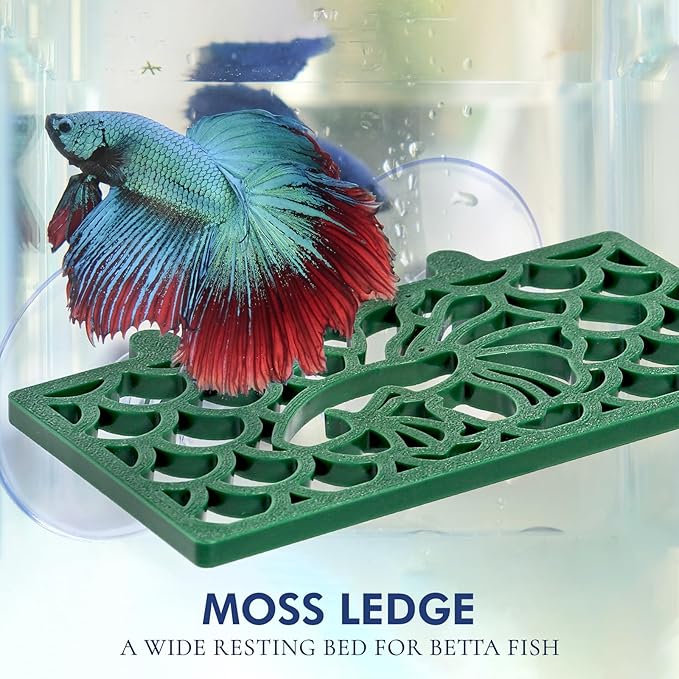 Abizoo Betta Fish Tunnel Hideout and Hammock Bed for Fish Aquarium Decoration, African Dwarf Frog Tank Accessories Hollow Design Habitat Cave for Betta Shrimp Guppies Neon Tetras Zebra Danios Snails