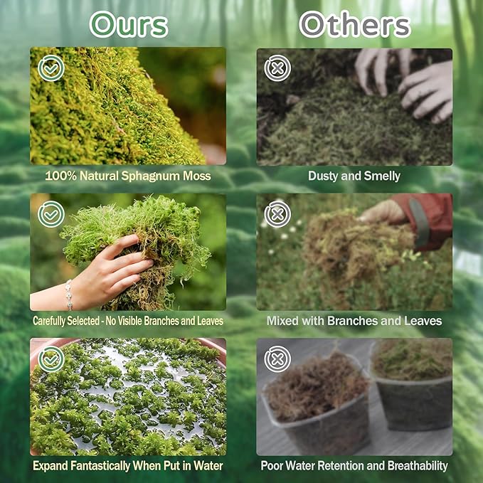 Riare 1.1LB Premium Sphagnum Moss for Reptiles- 25QT Natural Reptile Moss Dried, Forest Live Moss for Terrarium, Frogs Snake Peat Moss Bedding for Leopard Gecko Turtle Anoles Salamanders Orchid