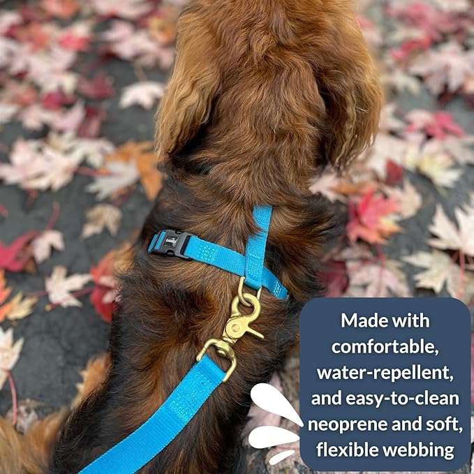 DJANGO Adventure Dog Harness - Stylish & Durable Medium Dog Harness for Outdoor Adventures and Everyday Wear - Pacific Blue Neoprene Adjustable Harness for Dogs with Reflective Piping, Brass D-Ring