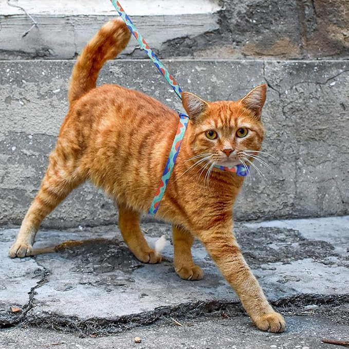 azuza Cat Harness and Leash Set for Safe Walking and Travel, Escape Proof Cat Harness, Lightweight Soft and Comfortable, Adjustable Kitten Harness for Small Medium Large Cats, Blue Camo