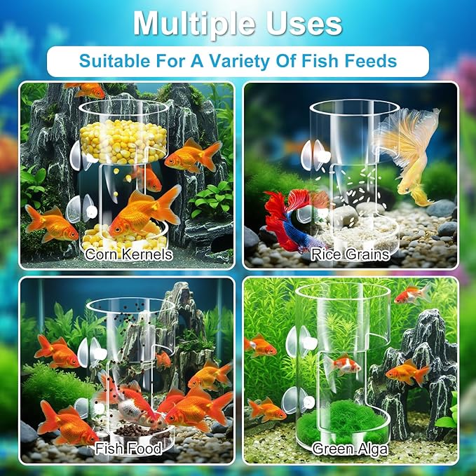 2PCS Orbicular Fish Tank Feeding Tray with Suction Cup, Acrylic Clear Fish Tank Accessories, Preventing Food Scattering Reduced Filter Clogging Tanks Suitable for All Kinds of Food Tanks Accessories